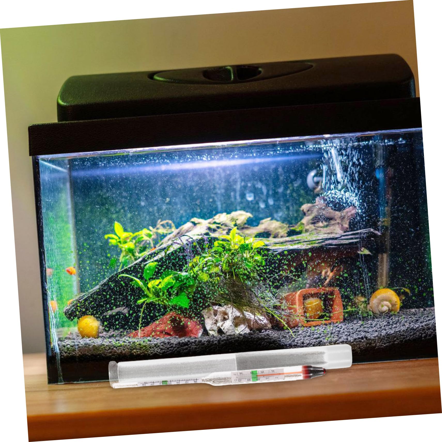 Amazon.co.jp: NOLITOY 1セット海水魚用水槽塩計 ガラス製デジタル密